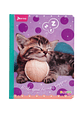 Cuaderno Cosido Norma Cats 50 Hojas Cuadros - Miniatura 5