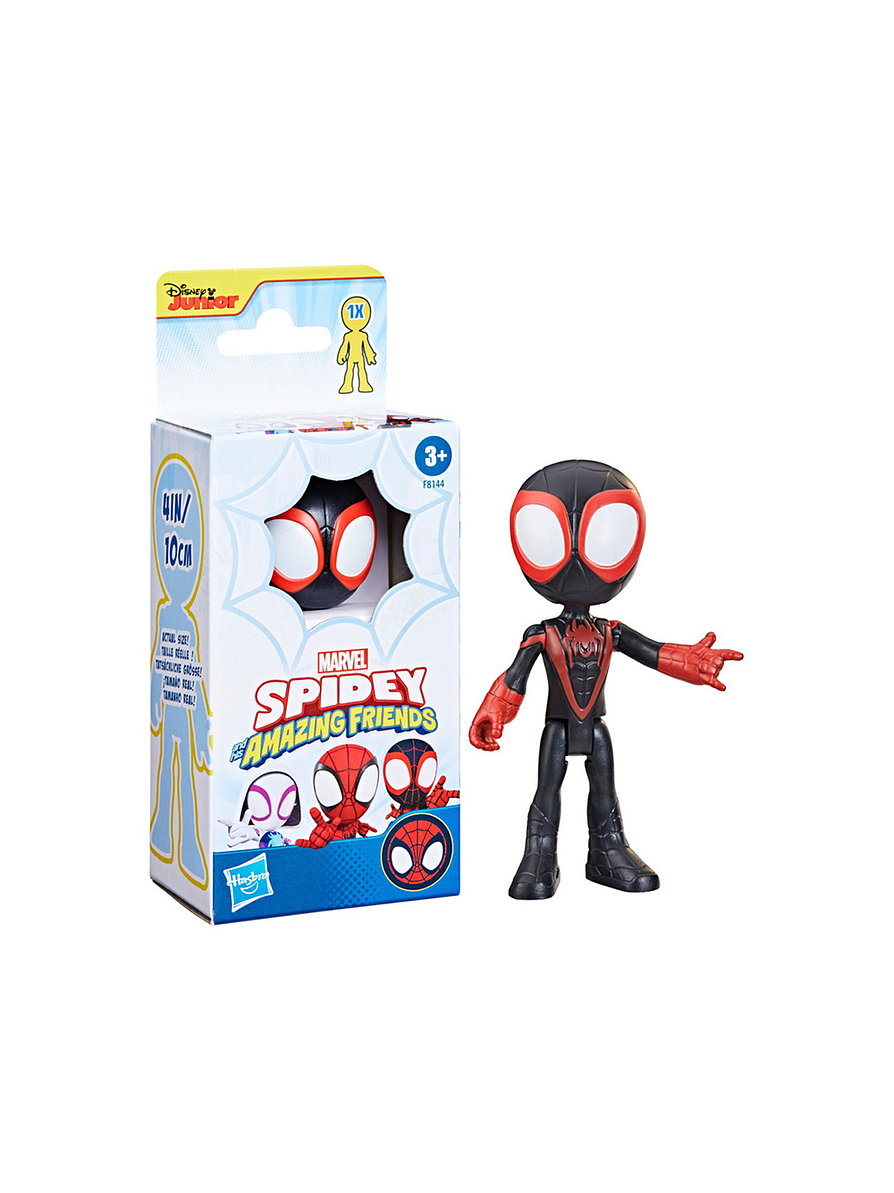 Spidey & His Amazing Friends Héroes 6