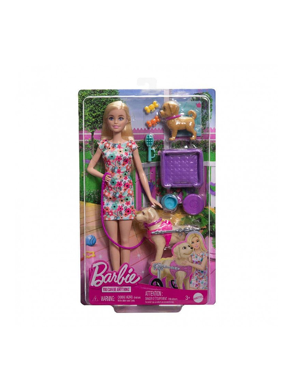 Barbie Paseo Con Perrito En Silla De Ruedas 1