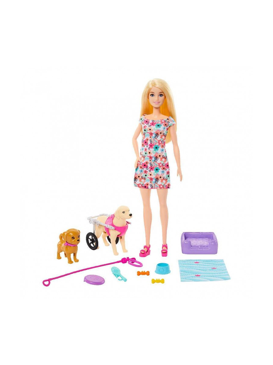 Barbie Paseo Con Perrito En Silla De Ruedas 2
