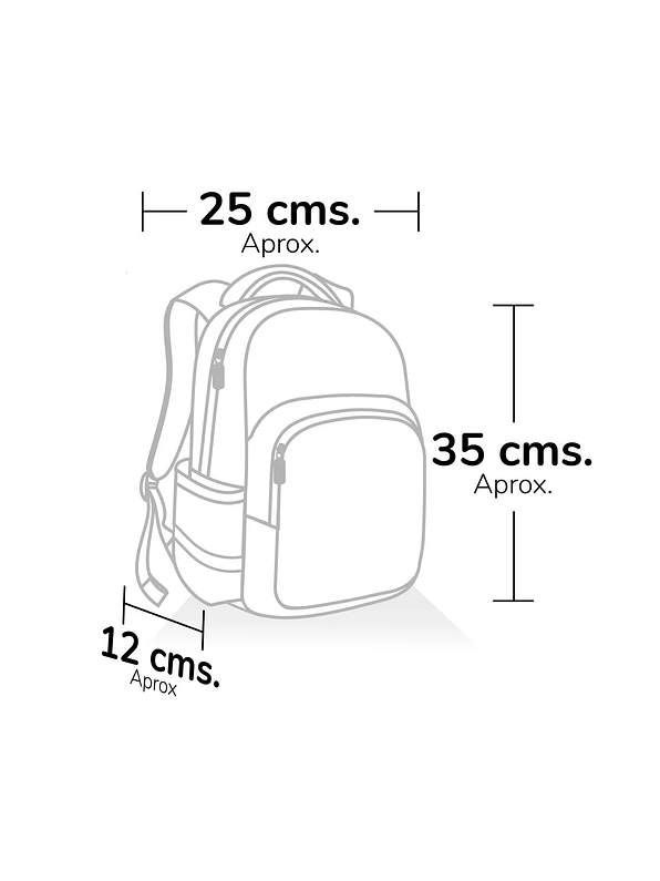 Morral Primavera Premium Paw Patrol Sunny Day 14