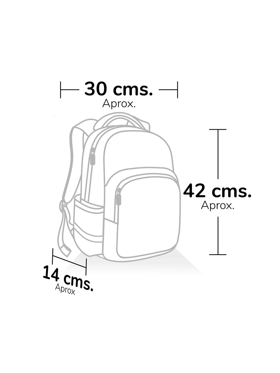 Morral Primavera premium Grande Paw Patrol Skye y Everest 4