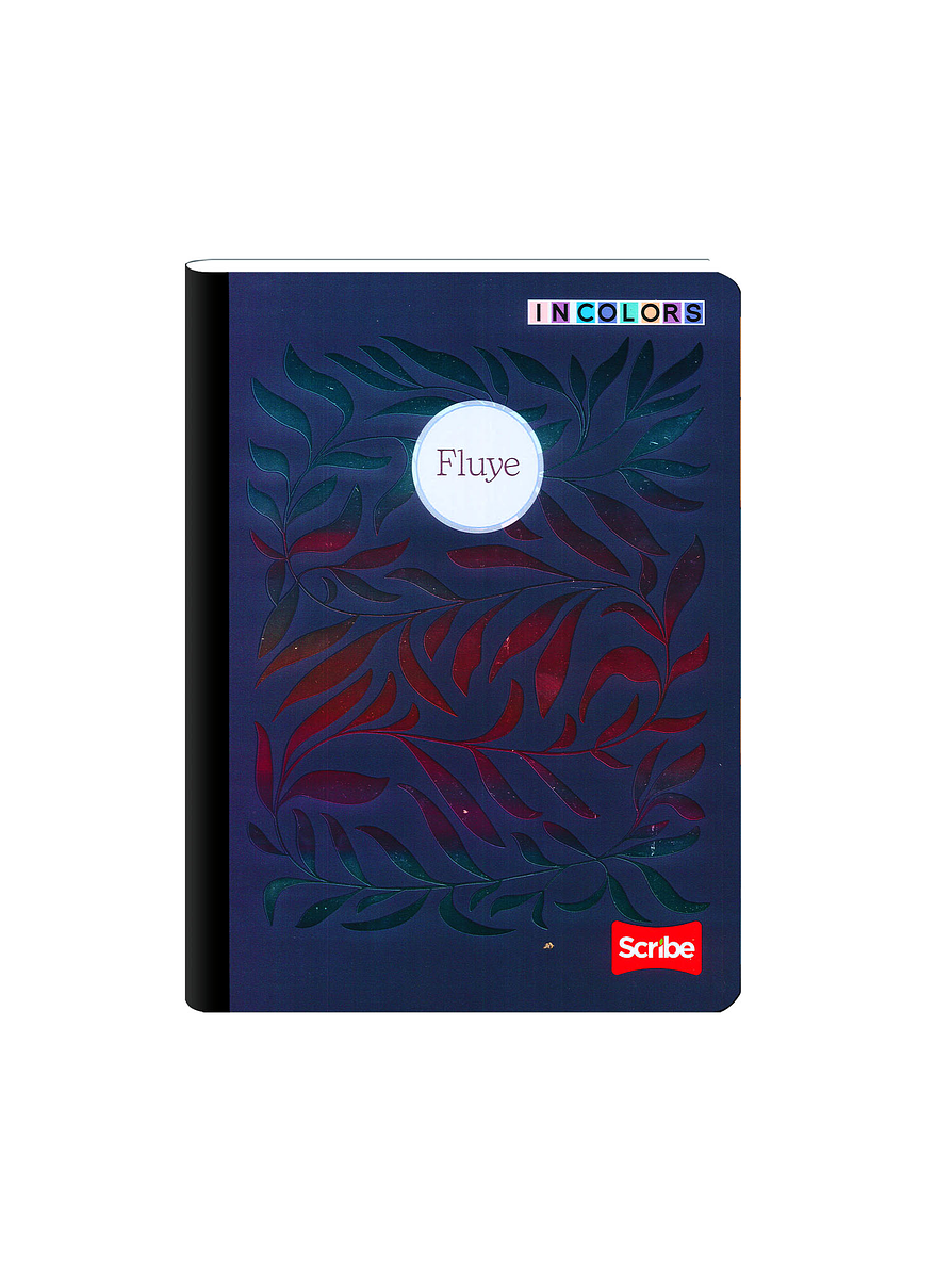 Cuaderno Cosido Pasta Dura Scribe Incolors 100 Hojas Cuadros 2