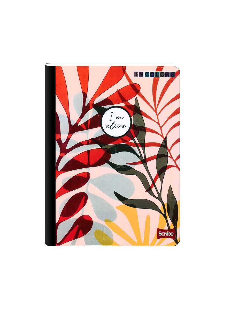 Cuaderno Cosido Pasta Dura Scribe Incolors 100 Hojas Cuadros 5