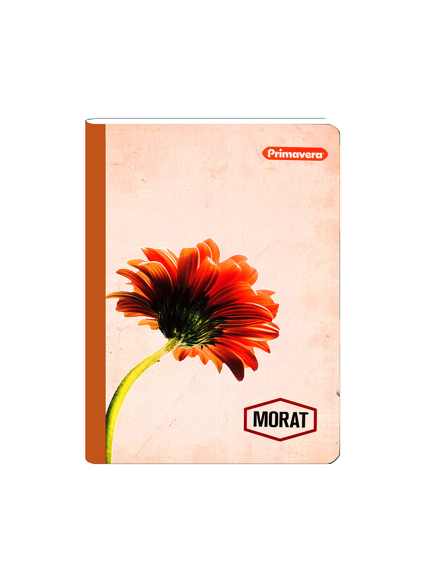 Cuaderno Cosido Pasta Dura Morat 100 Hojas Cuadros 4