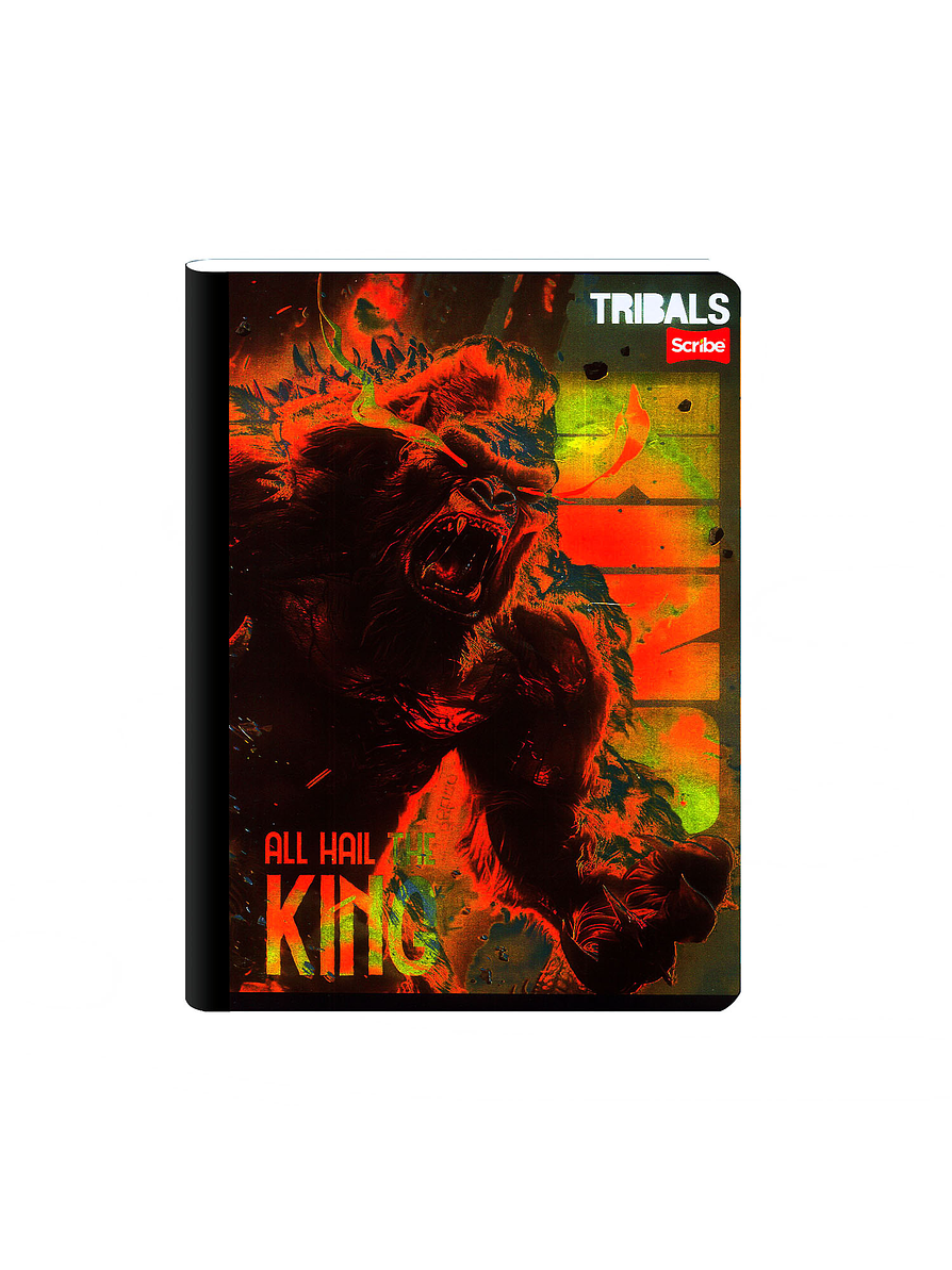 Cuaderno Cosido Tribals 100 Hojas Cuadros 14