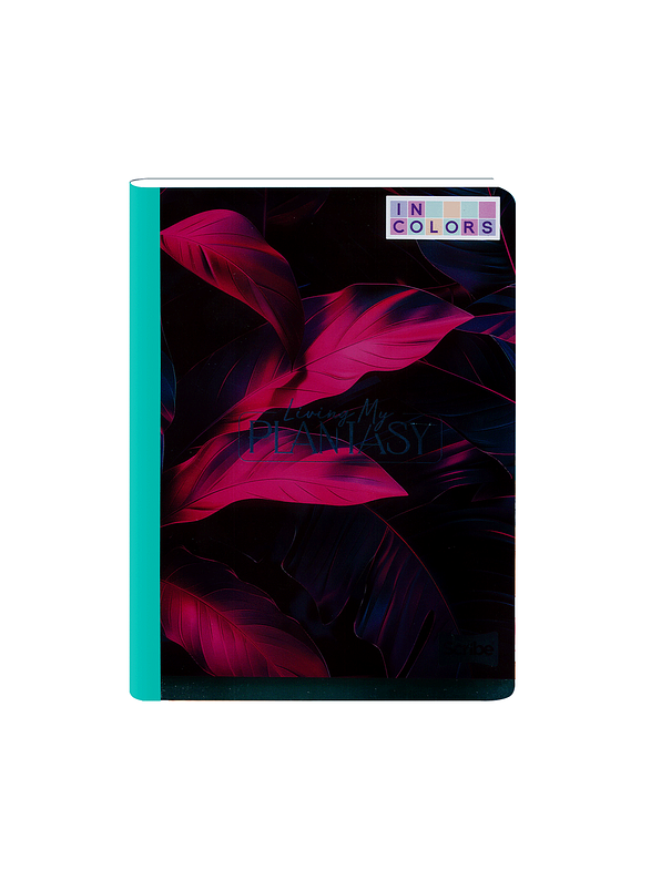 Cuaderno Cosido Incolors 100 Hojas Cuadros 6