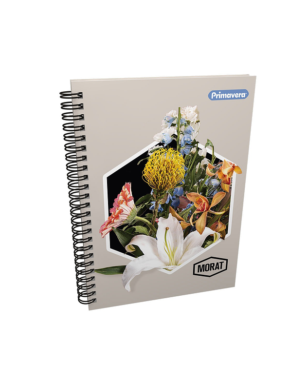 Cuaderno Catedrático Primavera Morat 80 Hojas Cuadros 5
