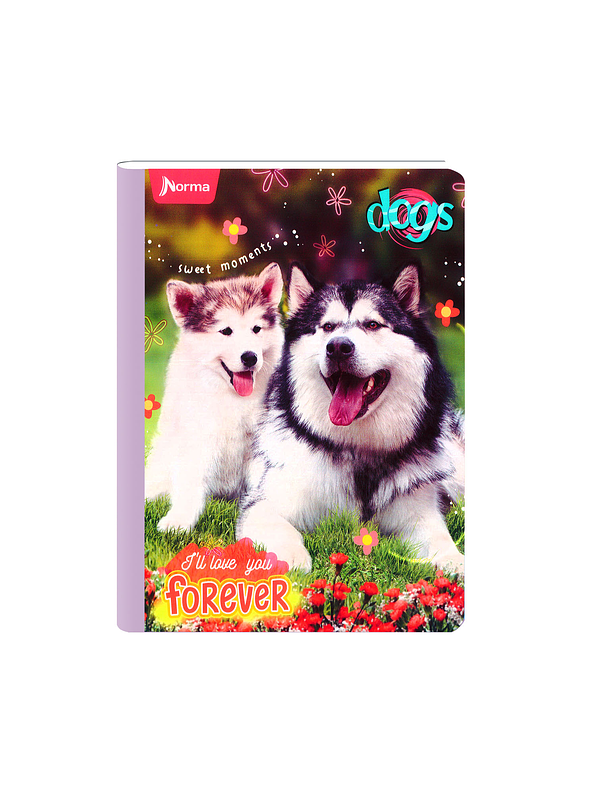 Cuaderno Cosido Norma Dogs 50 Hojas Cuadros  1
