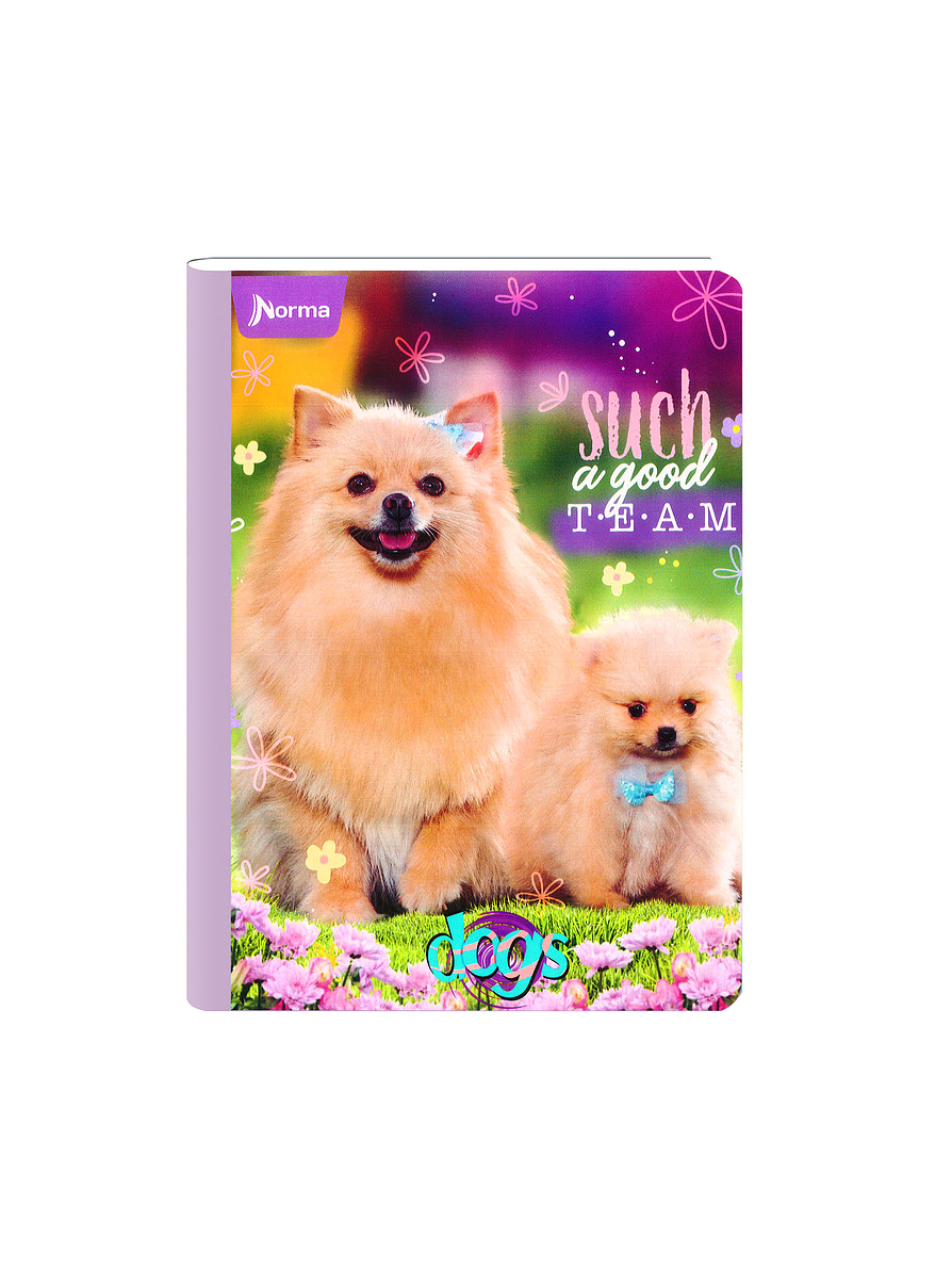 Cuaderno Cosido Norma Dogs 100 Hojas Cuadros  7