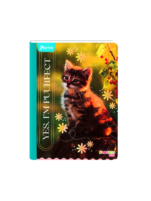 Cuaderno Cosido Norma Cats 100 Hojas Cuadros 1