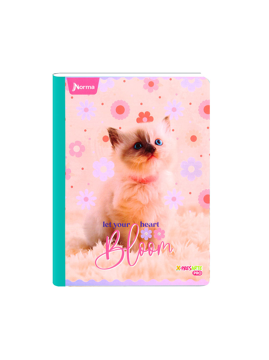 Cuaderno Cosido Norma Cats 100 Hojas Cuadros 3