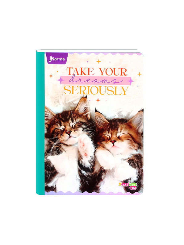 Cuaderno Cosido Norma Cats 100 Hojas Cuadros 4