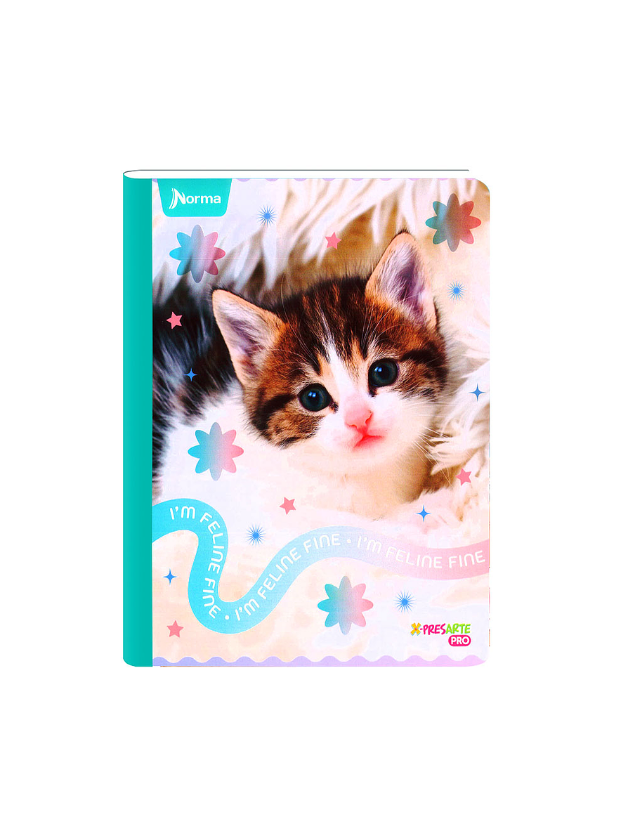 Cuaderno Cosido Norma Cats 100 Hojas Cuadros 5