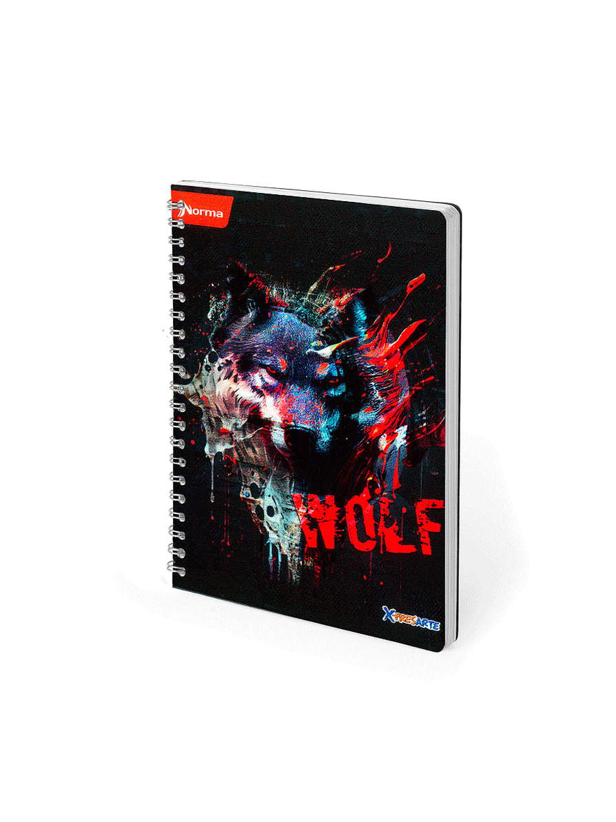 Cuaderno Argollado Pasta Dura X-Presarte 80 Hojas Cuadros Masculino 4