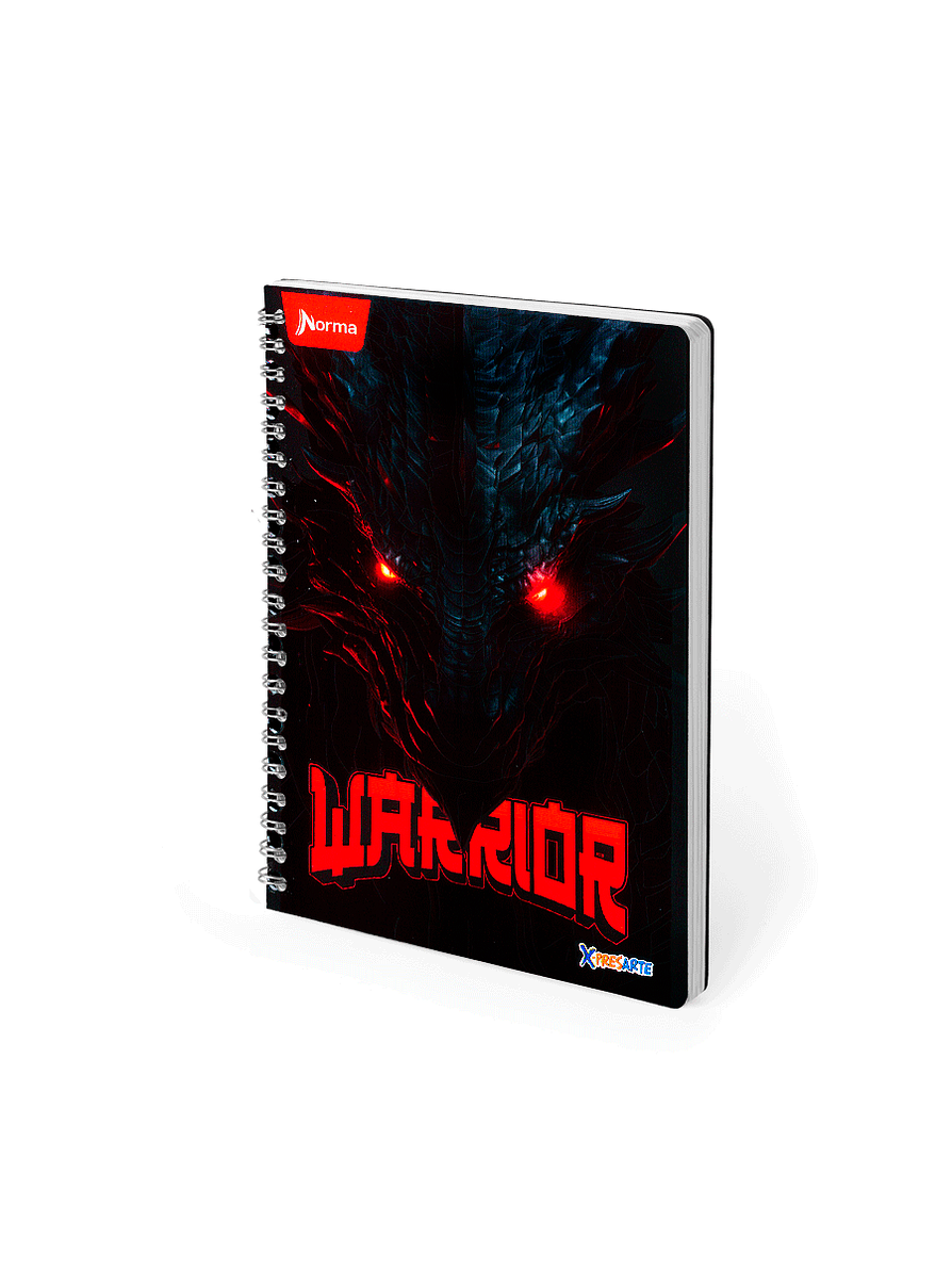 Cuaderno Argollado Pasta Dura X-Presarte 80 Hojas Cuadros Masculino 13