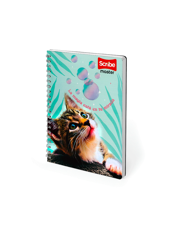 Cuaderno Argollado Pasta Dura Master Femenino 80 Hojas Cuadros  4