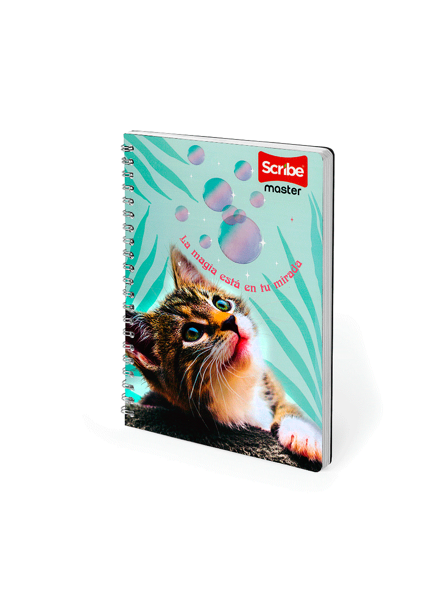 Cuaderno Argollado Pasta Dura Master Femenino 80 Hojas Cuadros  4