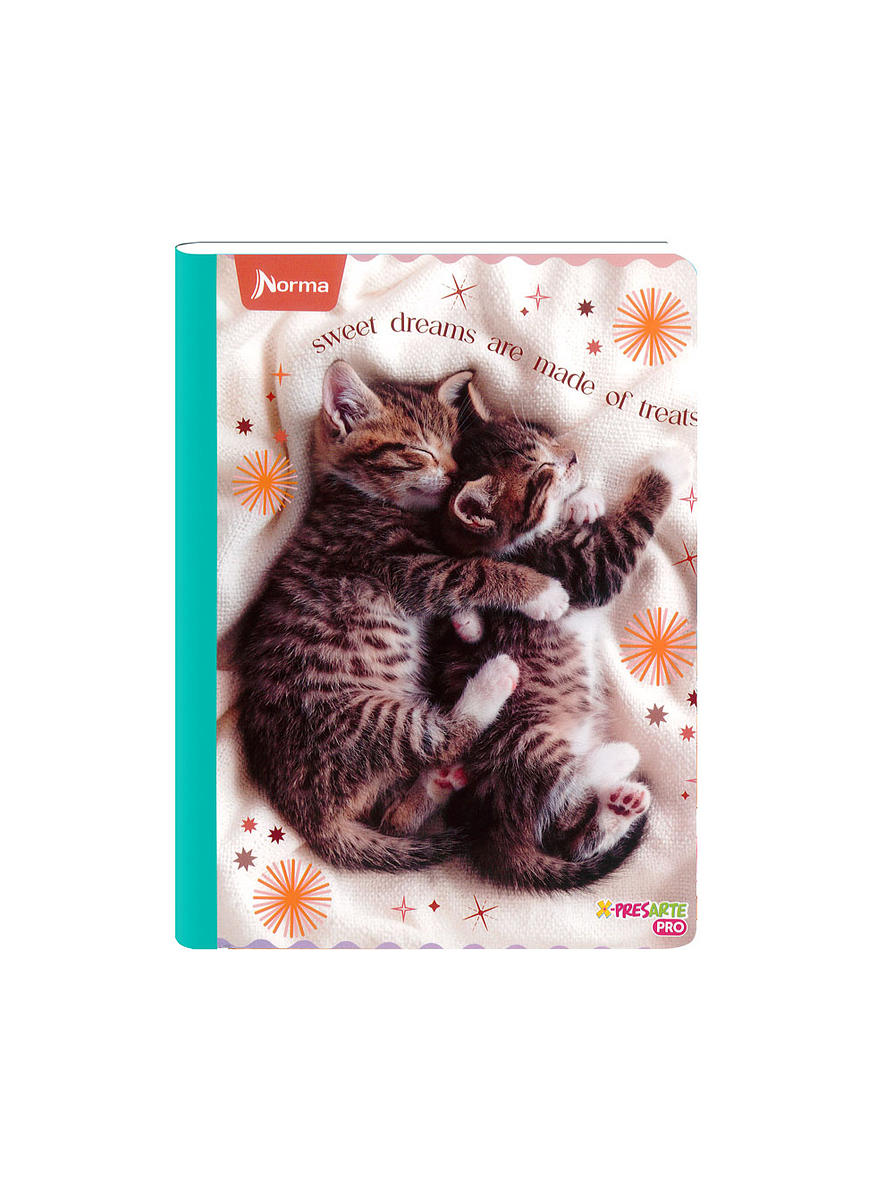 Cuaderno Cosido Norma Cats 50 Hojas Cuadros 1