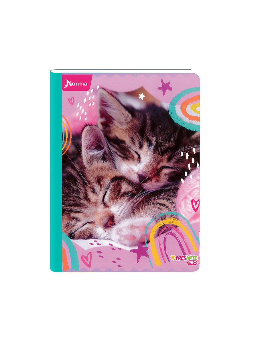 Cuaderno Cosido Norma Cats 50 Hojas Cuadros 7