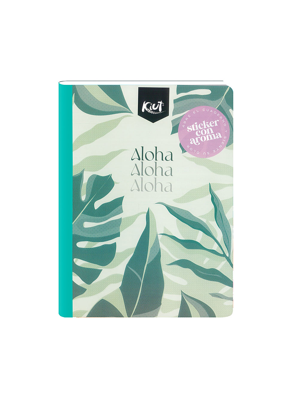 Cuaderno Cosido Kiut Aroma 100 Hojas Cuadros 1