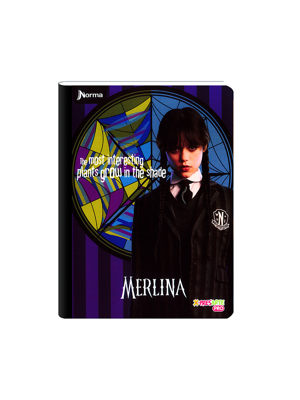 Cuaderno Cosido Norma Merlina 100 Hojas Cuadros 1