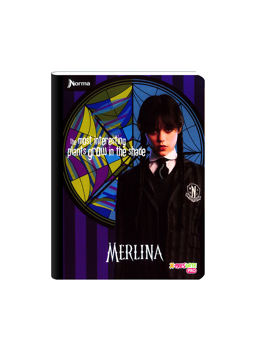 Cuaderno Cosido Norma Merlina 100 Hojas Cuadros 1