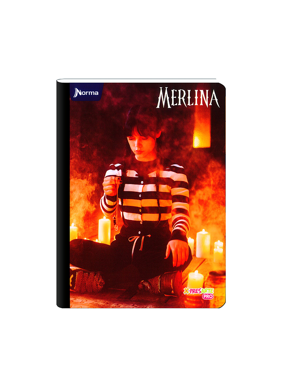 Cuaderno Cosido Norma Merlina 100 Hojas Cuadros 4