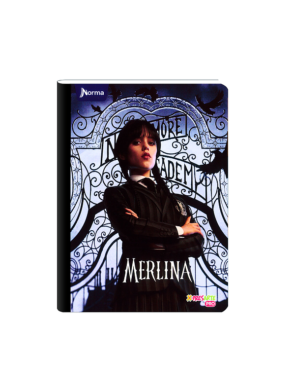 Cuaderno Cosido Norma Merlina 100 Hojas Cuadros 11