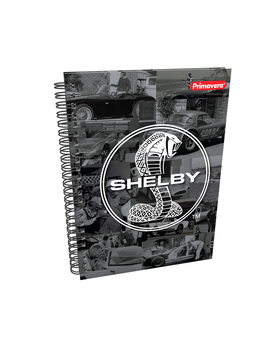 Cuaderno Catedrático Primavera Pasta Dura Cuadros  10