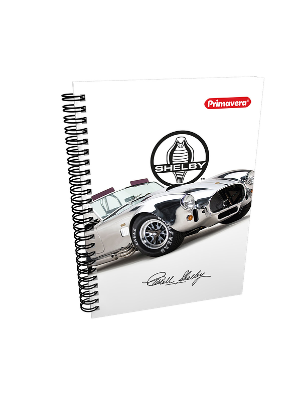 Cuaderno Argollado  Primavera  Pasta Dura Hombre Cuadros  8