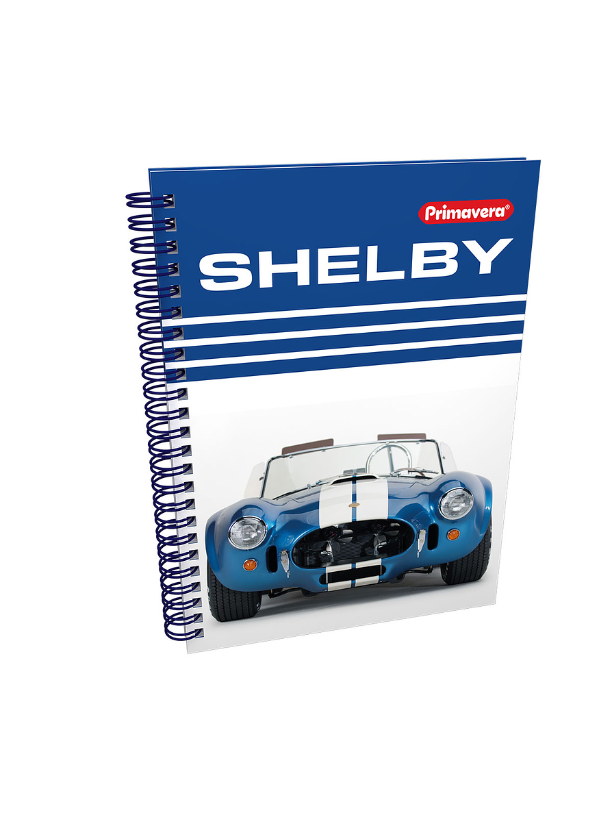 Cuaderno Argollado  Primavera  Pasta Dura Hombre Cuadros  10