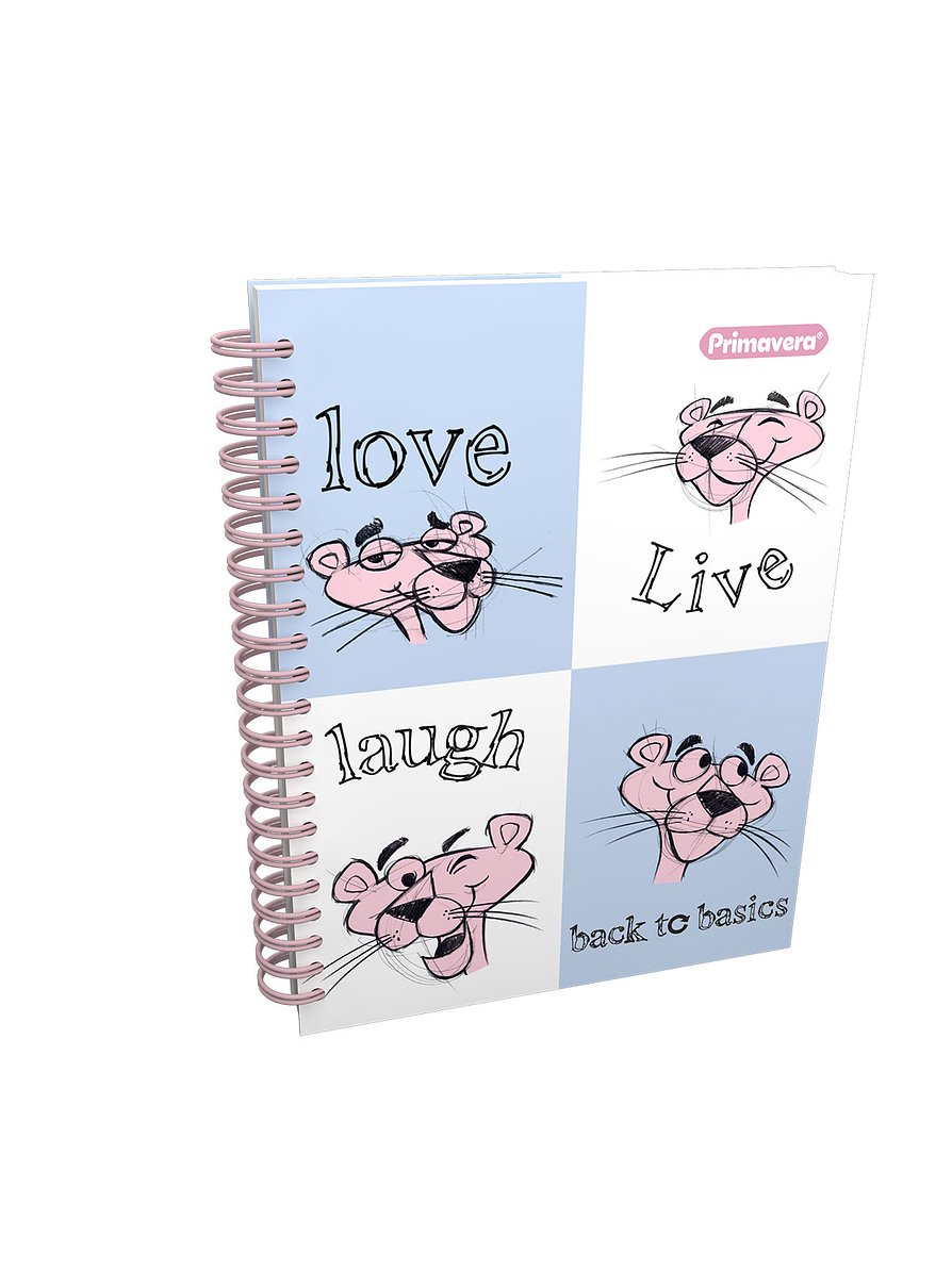 Cuaderno Primavera 5 Materias Catedrático Femenino 4