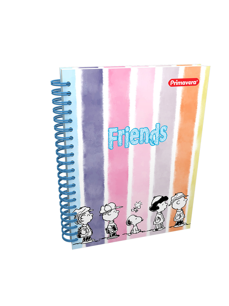 Cuaderno Primavera 7 Materias Catedrático 10