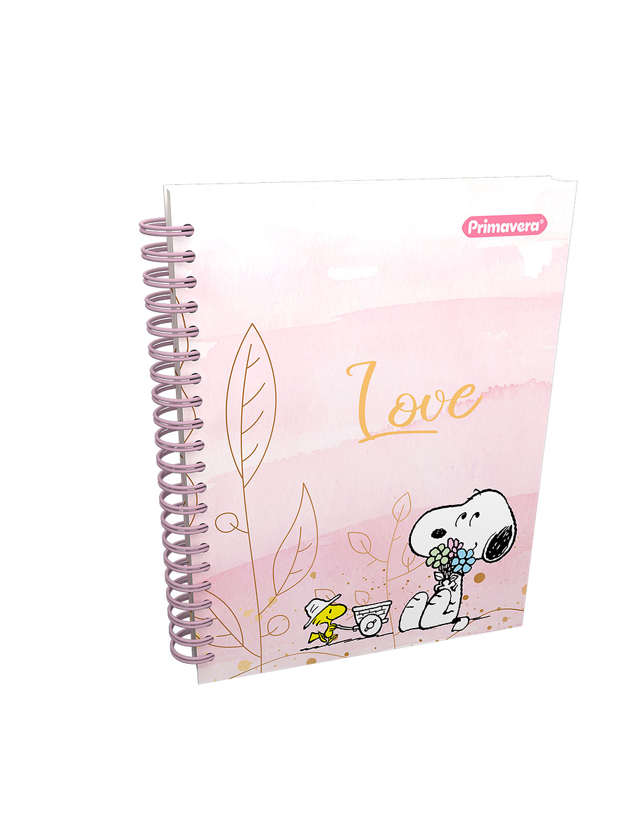 Cuaderno Primavera 7 Materias Catedrático 3