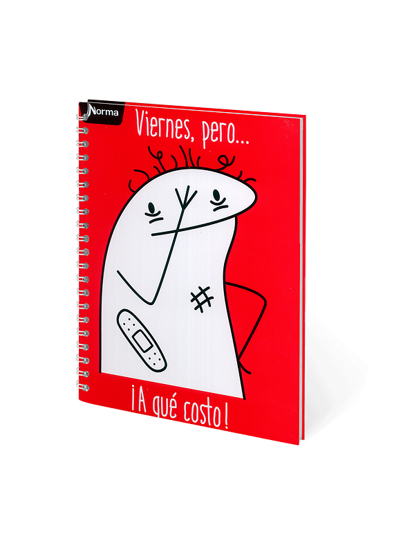 Cuaderno Catedrático Norma 80 Hojas  5