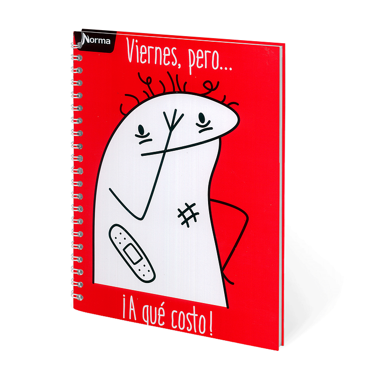 Cuaderno Catedrático Norma 80 Hojas  5