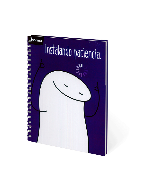 Cuaderno Catedrático Norma 80 Hojas  6