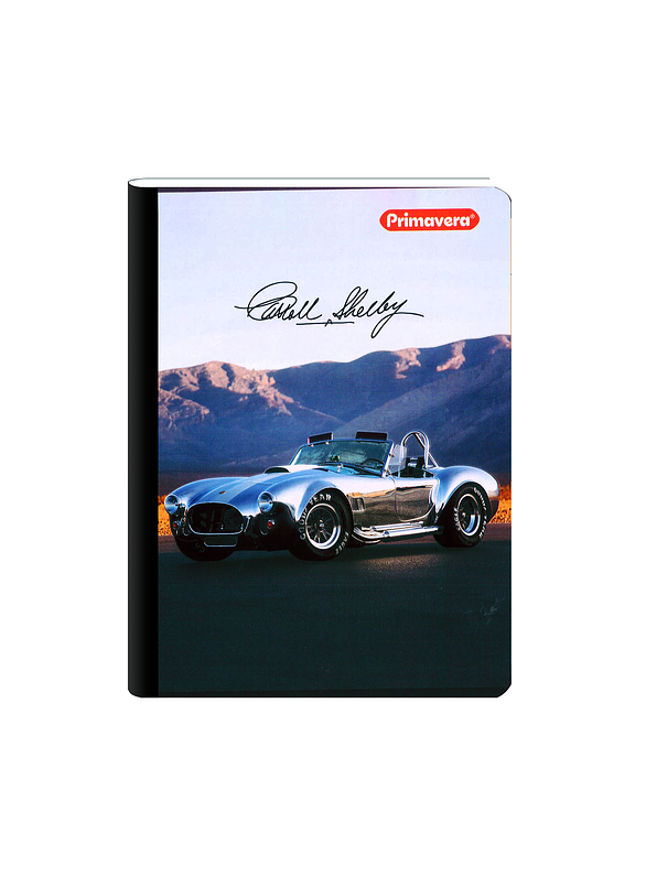 Cuaderno Cosido Primavera Masculino 100 Hojas Cuadros  4