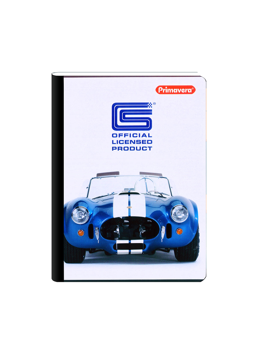 Cuaderno Cosido Primavera Masculino 100 Hojas Cuadros  5