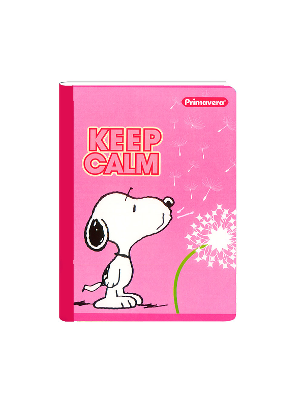 Cuaderno Cosido Primavera Mujer 100 Hojas Cuadros  2