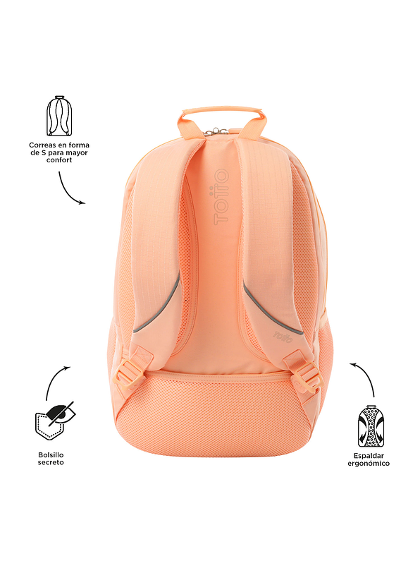 Morral Universitario Totto Porta PC 15.4