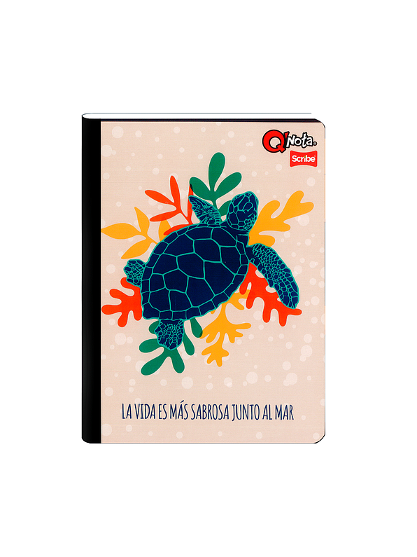 Cuaderno Cosido Q´Nota Femenino 50 Hojas Cuadros  5