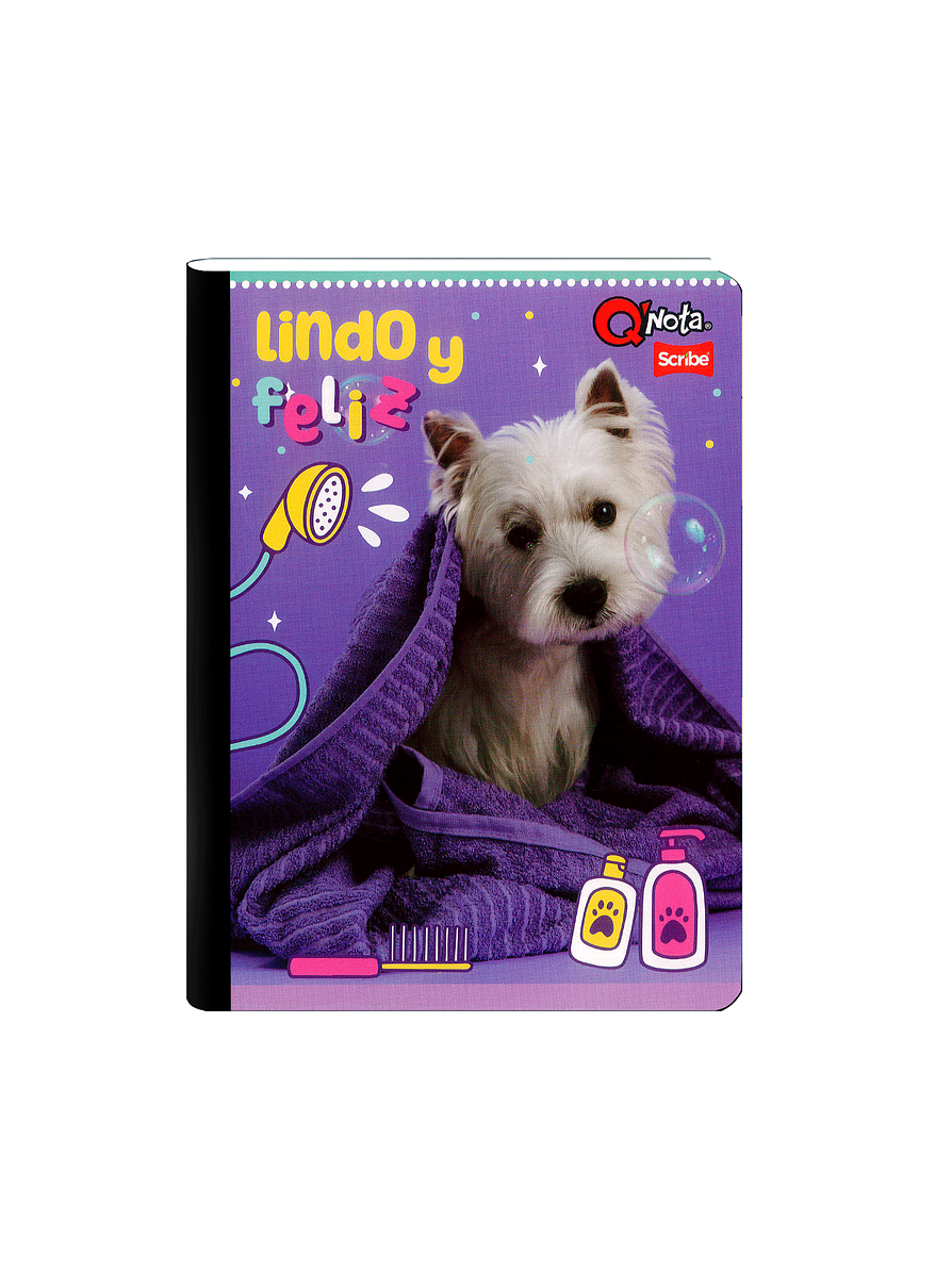 Cuaderno Cosido Q´Nota Femenino 50 Hojas Cuadros  6