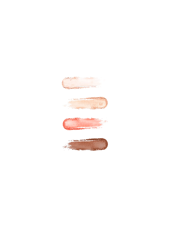 Cuarteto de sombra SP PRO 4 gr 6