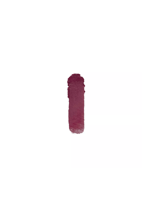 Labial en barra LIP STAYPRO SP PRO 2g. 10