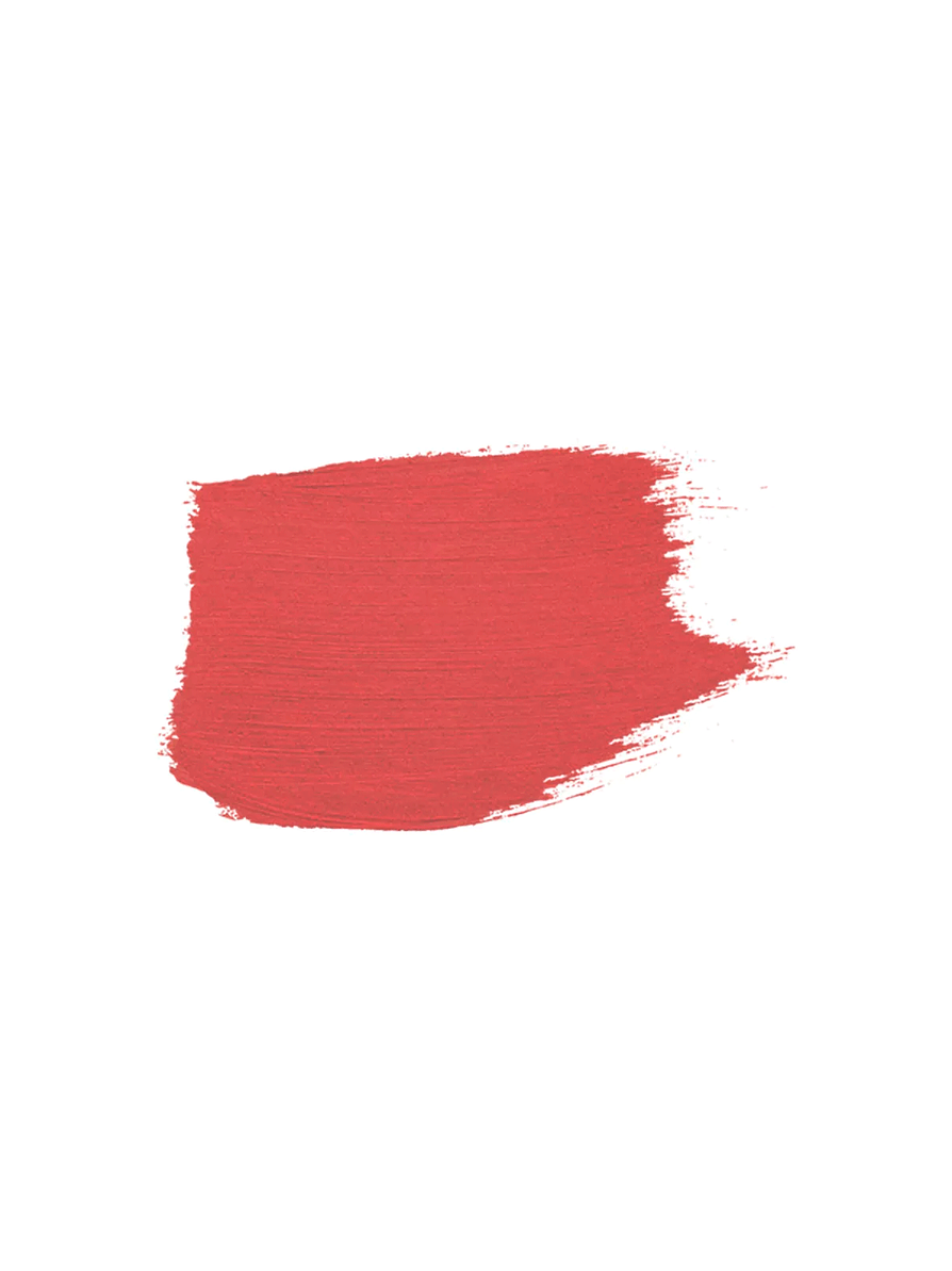 Labial Larga Duración Ilusión Nailen 2g. 6