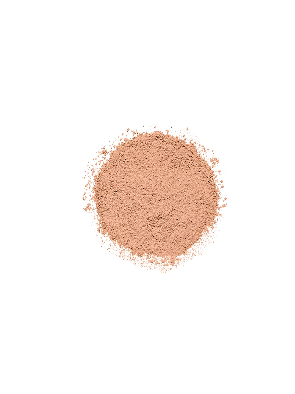 Polvo suelto Traslúcido SP PRO #101 3