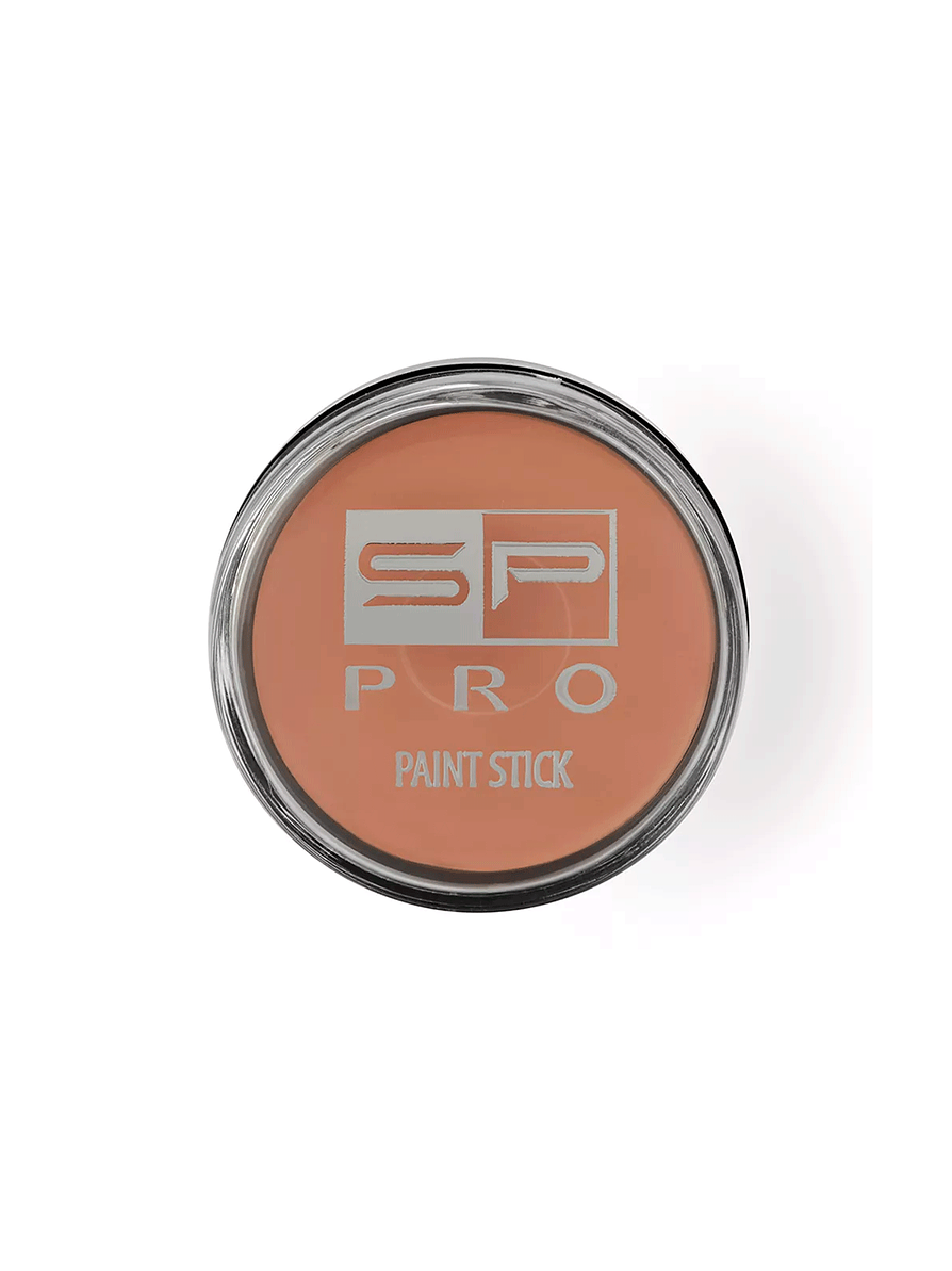Corrector Paint Stick SP PRO 10g 1