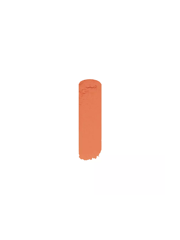 Corrector Paint Stick SP PRO 10g 2